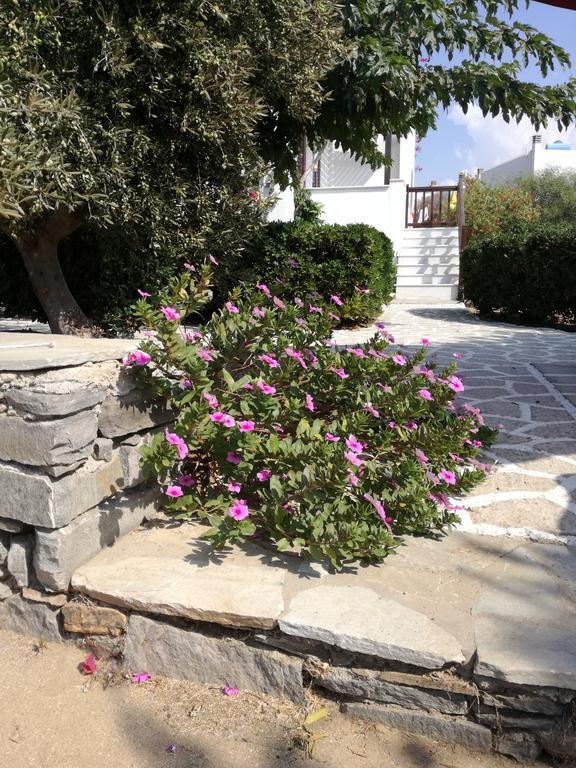 Dina'S Diamond Agios Prokopios (Naxos) Exterior foto